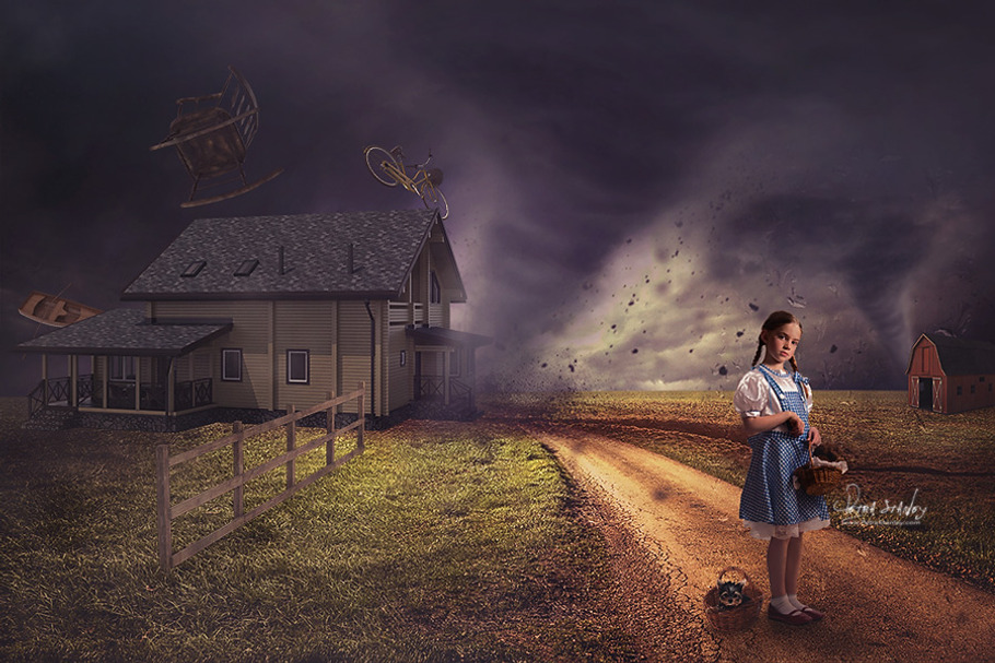 Digital Photo Backdrop Wizard of Oz in Photoshop Layer Styles - product preview 8