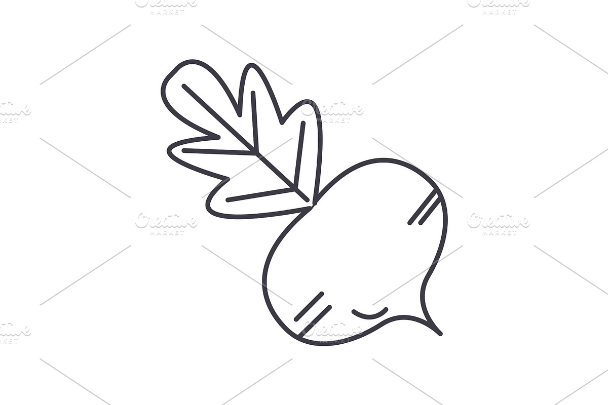beet vector line icon, sign, illustration on background, editable strokes in Illustrations - product preview 8