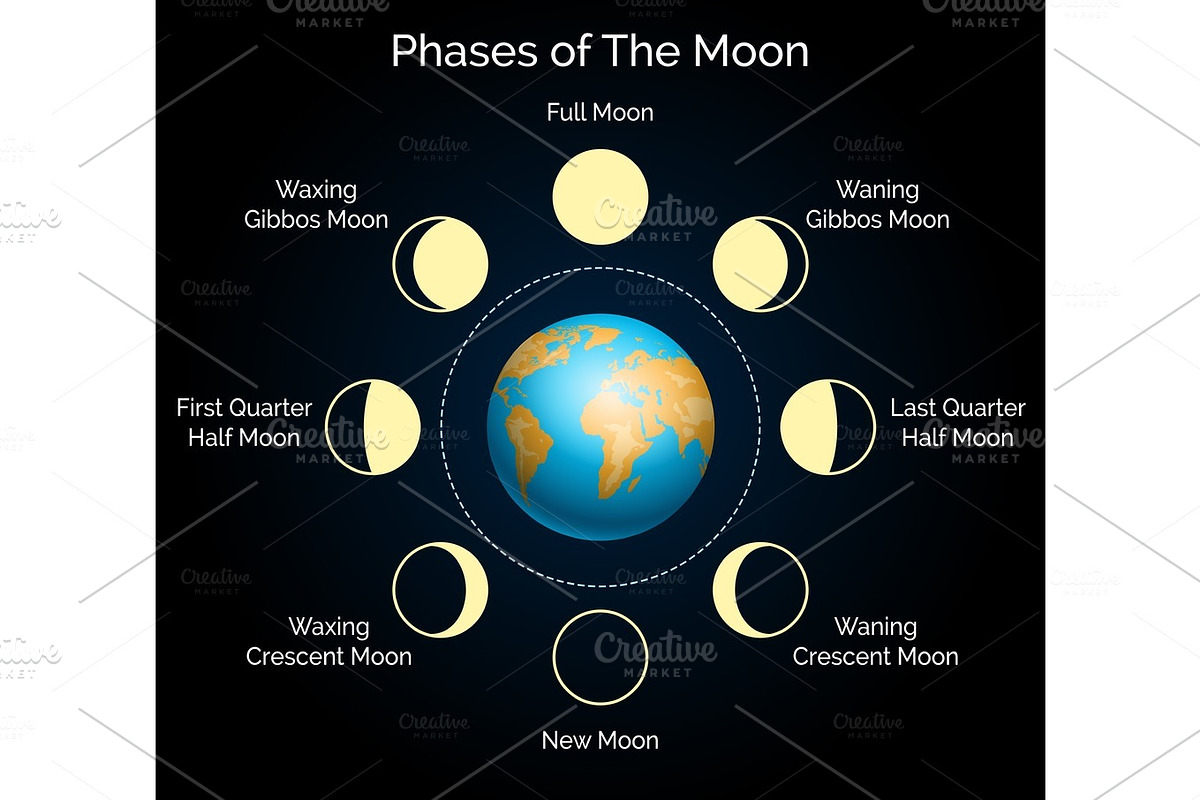 Earth and lunar phase set in Illustrations - product preview 8