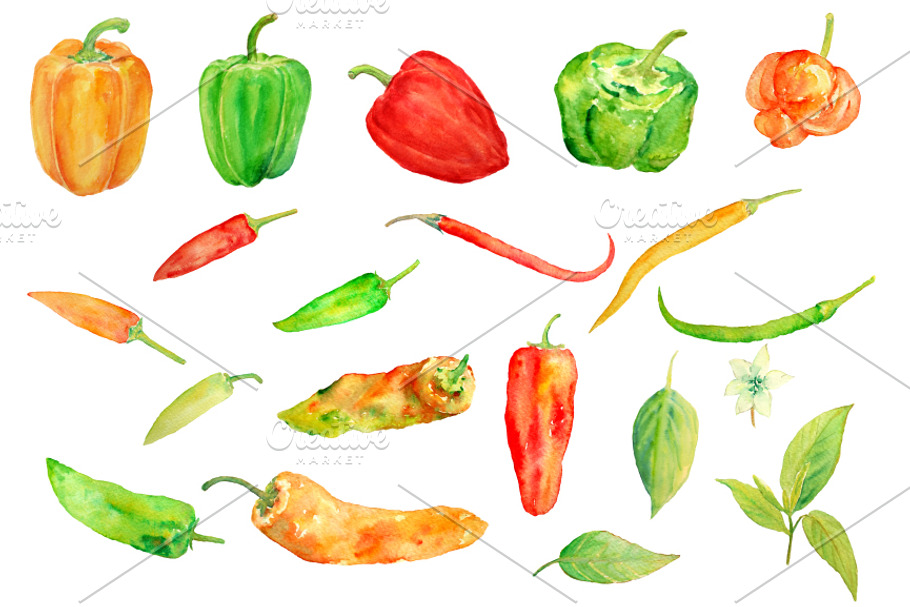 Watercolor Chilli Pepper Collection in Objects - product preview 8