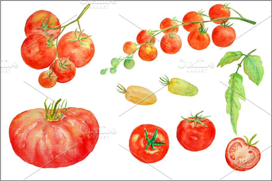 Watercolor Clipart - Tomato