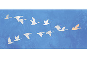 Flock of birds Leadership concept