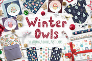 Winter Owls: patterns, illustrations