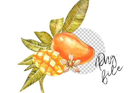 Mango clipart in botanical style in Illustrations - product preview 2