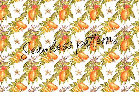Mango clipart in botanical style in Illustrations - product preview 5
