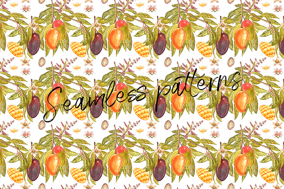 Mango clipart in botanical style in Illustrations - product preview 6