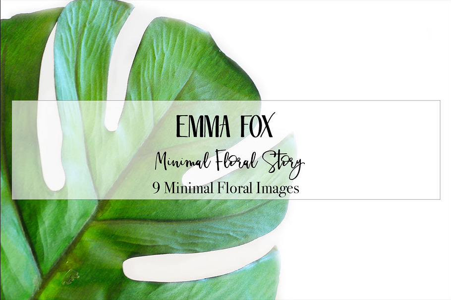 Minimal Floral Story Stock Photo in Instagram Templates - product preview 8