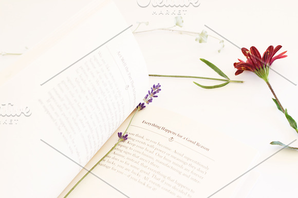 Minimal Floral Story Stock Photo in Instagram Templates - product preview 4