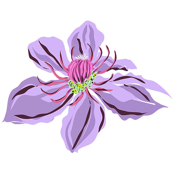 Flowers Clip Art Tropical in Illustrations - product preview 1