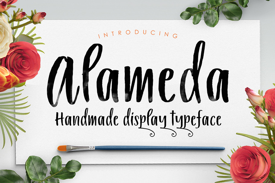 Alameda Typeface in Display Fonts - product preview 8