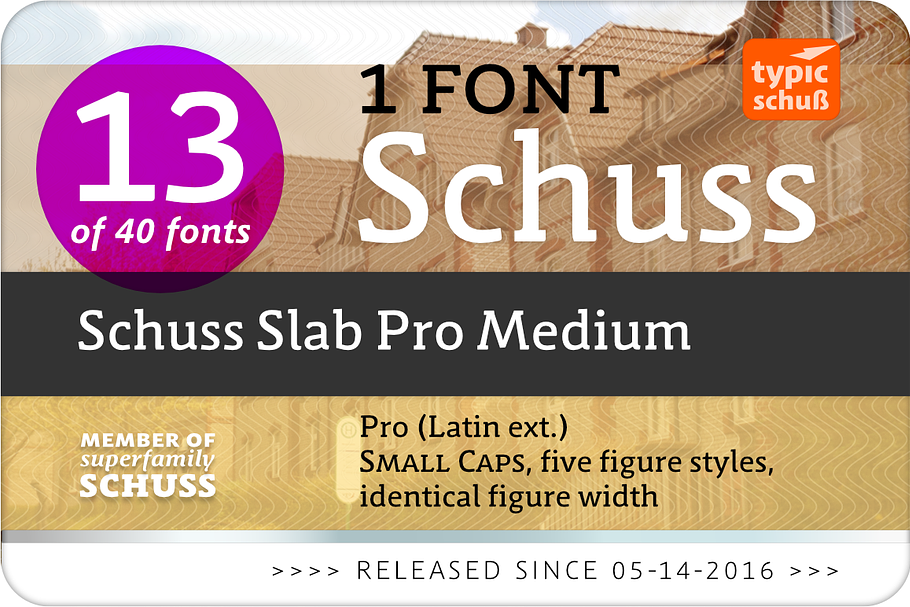 SchussSlabProMedium No.13 (1 Font) in Slab Serif Fonts - product preview 8