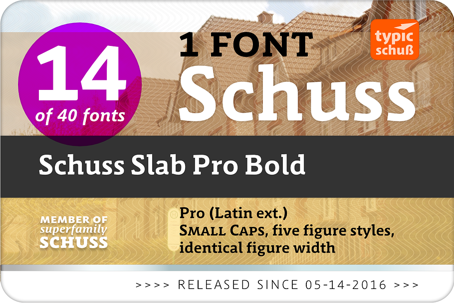 SchussSlabProBold No.14 (1 Font) in Slab Serif Fonts - product preview 8
