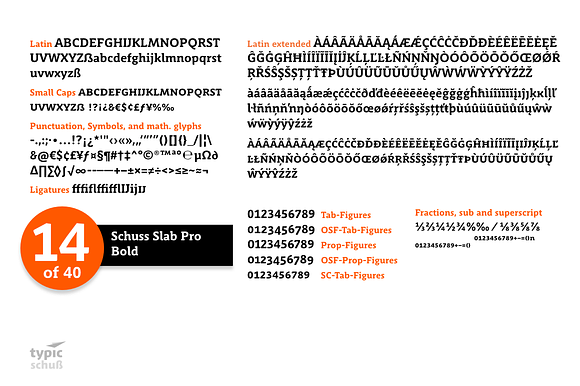 SchussSlabProBold No.14 (1 Font) in Slab Serif Fonts - product preview 1