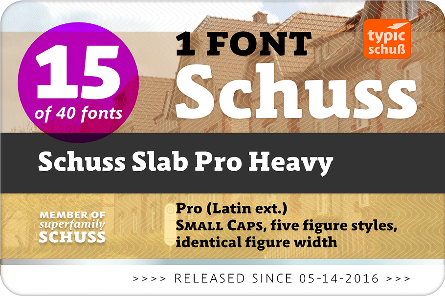 SchussSlabProHeavy No.15 (1 Font) in Slab Serif Fonts - product preview 8