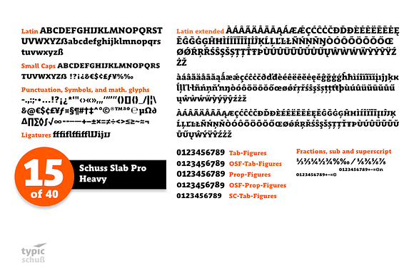 SchussSlabProHeavy No.15 (1 Font) in Slab Serif Fonts - product preview 1