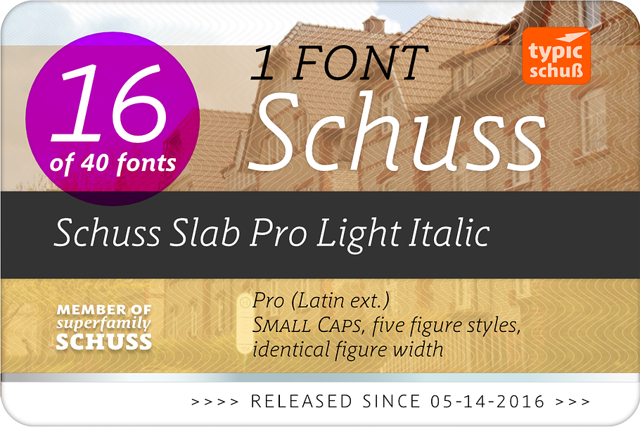 SchussSlabProLightIta No.16 (1 Font) in Slab Serif Fonts - product preview 8