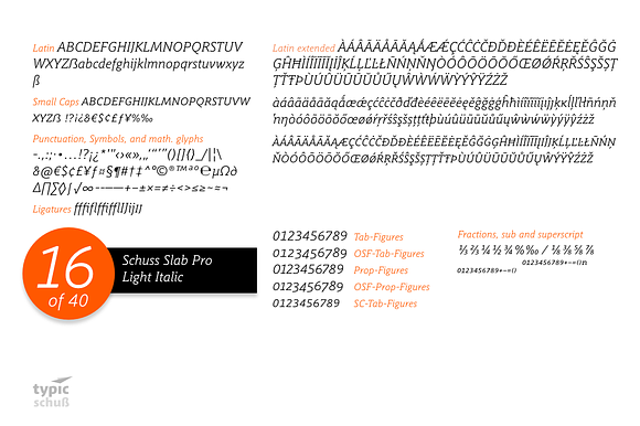 SchussSlabProLightIta No.16 (1 Font) in Slab Serif Fonts - product preview 1