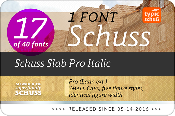 SchussSlabProItalic No.17 (1 Font) in Slab Serif Fonts - product preview 1