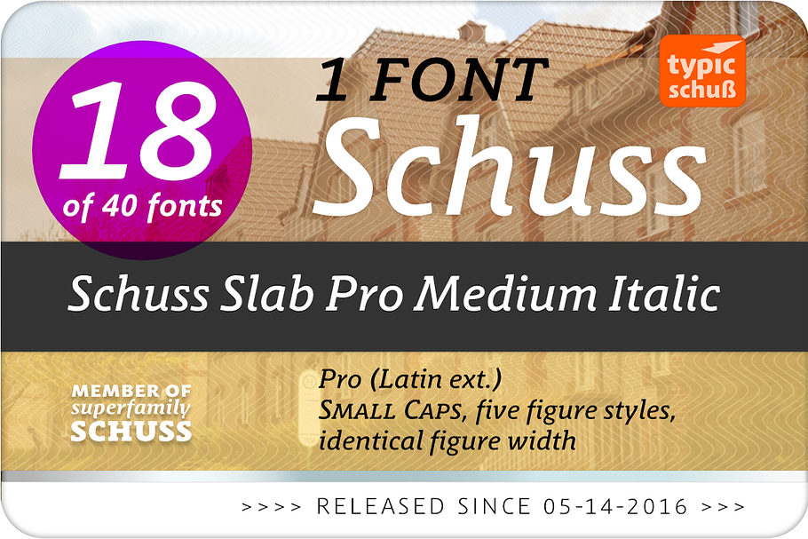 SchussSlabProMedIta No.18 (1 Font) in Slab Serif Fonts - product preview 8
