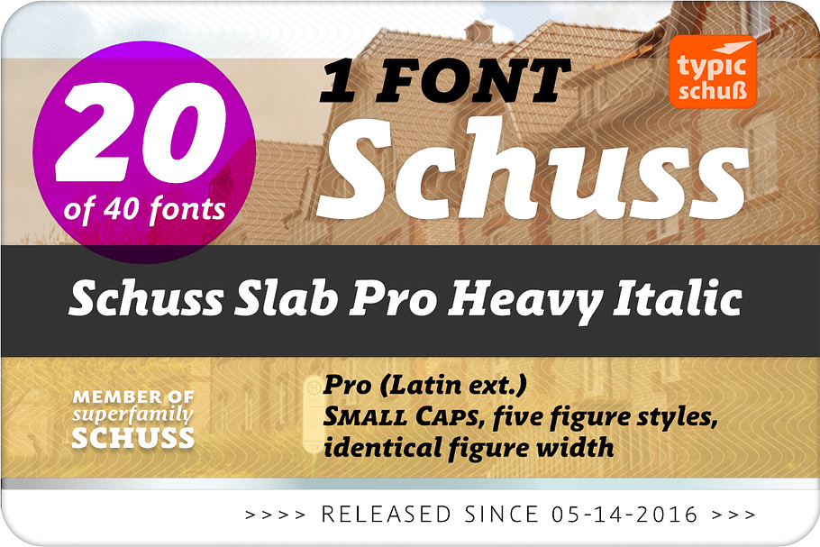 SchussSlabProHeavyIta No.20 (1 Font) in Slab Serif Fonts - product preview 8