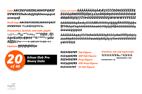 SchussSlabProHeavyIta No.20 (1 Font) in Slab Serif Fonts - product preview 1