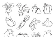 Vegetables and fruits icons