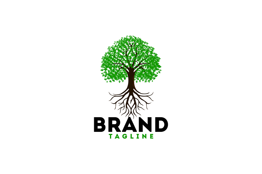 Big Tree Logo