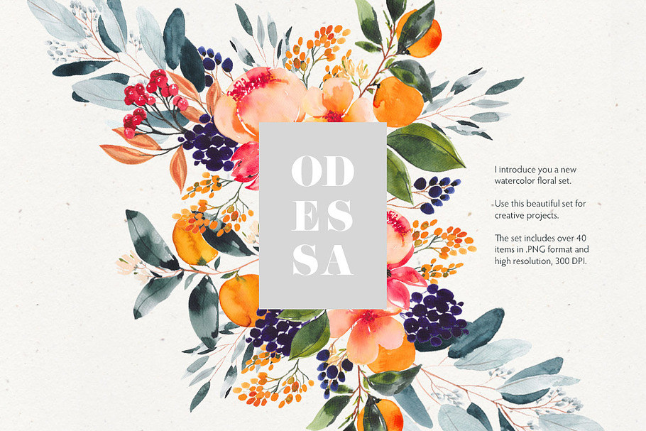 Odessa in Illustrations - product preview 8