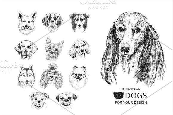 12 DOGS. Christmas Collection in Illustrations - product preview 2