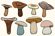 Set of Forest mushrooms