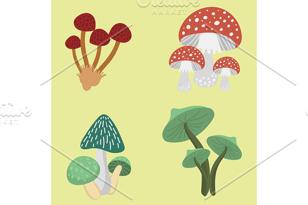 Amanita fly agaric toadstool mushrooms fungus different art style design vector illustration red hat