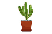 Cactus in ceramic pot