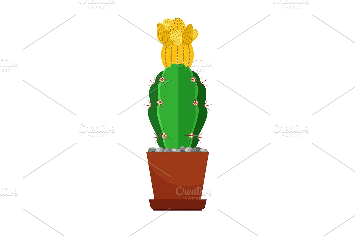 Cactus with yellow flower in Illustrations - product preview 8