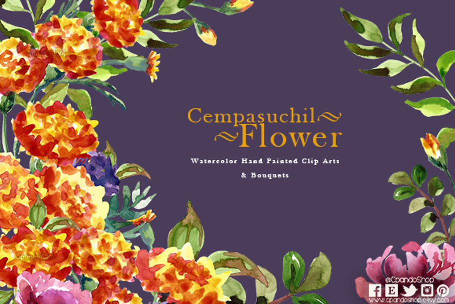 Cempasuchil flower - day of the dead
