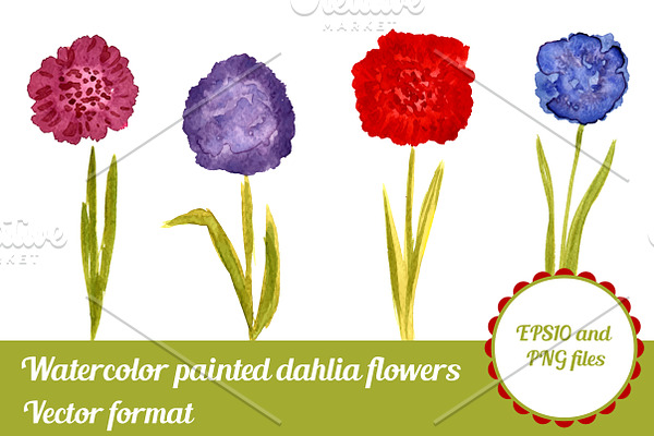 Watercolor Vector Dahlia flowers