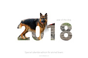2018 Calendar | Animals