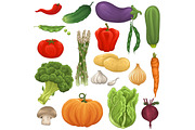 Vegetable set, patterns, backgrounds