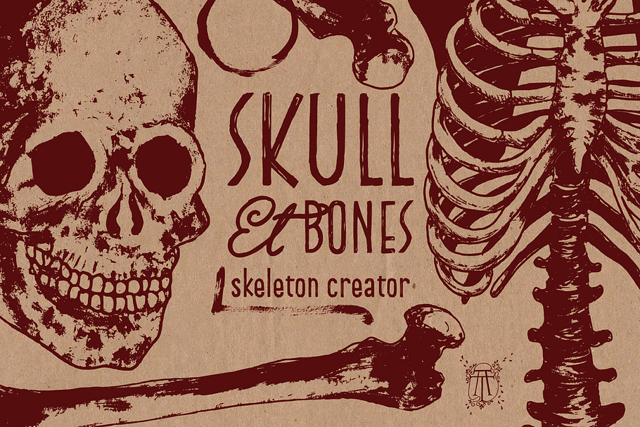 Skeleton Creator - Front & Profile in Illustrations - product preview 8