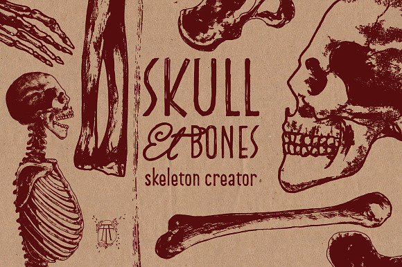 Skeleton Creator - Front & Profile in Illustrations - product preview 1
