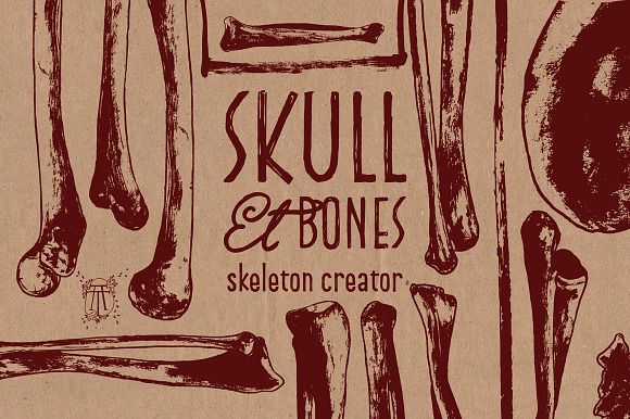 Skeleton Creator - Front & Profile in Illustrations - product preview 2