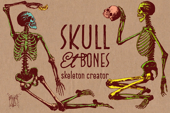 Skeleton Creator - Front & Profile in Illustrations - product preview 4