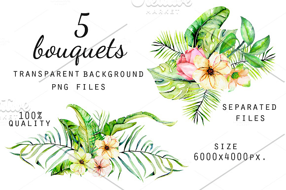 "Hawaii". Bouquets. in Illustrations - product preview 2