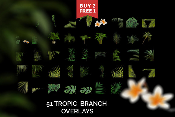 51 Tropic Tree Branch Photo overlays in Photoshop Layer Styles - product preview 5