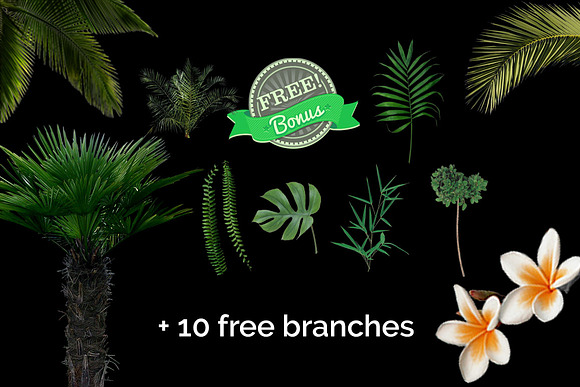 51 Tropic Tree Branch Photo overlays in Photoshop Layer Styles - product preview 6