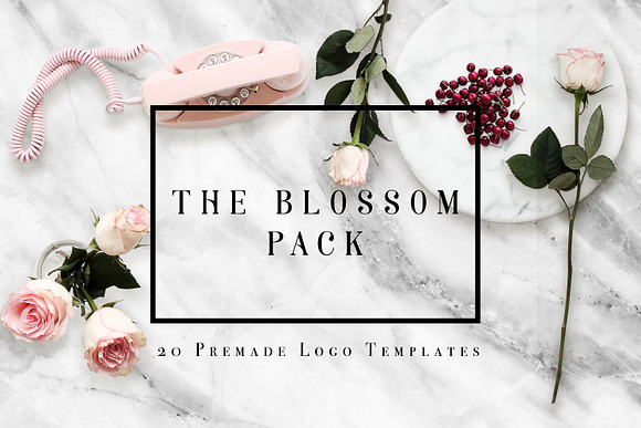 THE BLOSSOM LOGO PACK in Logo Templates - product preview 9