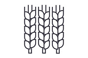 wheat vector line icon, sign, illustration on background, editable strokes