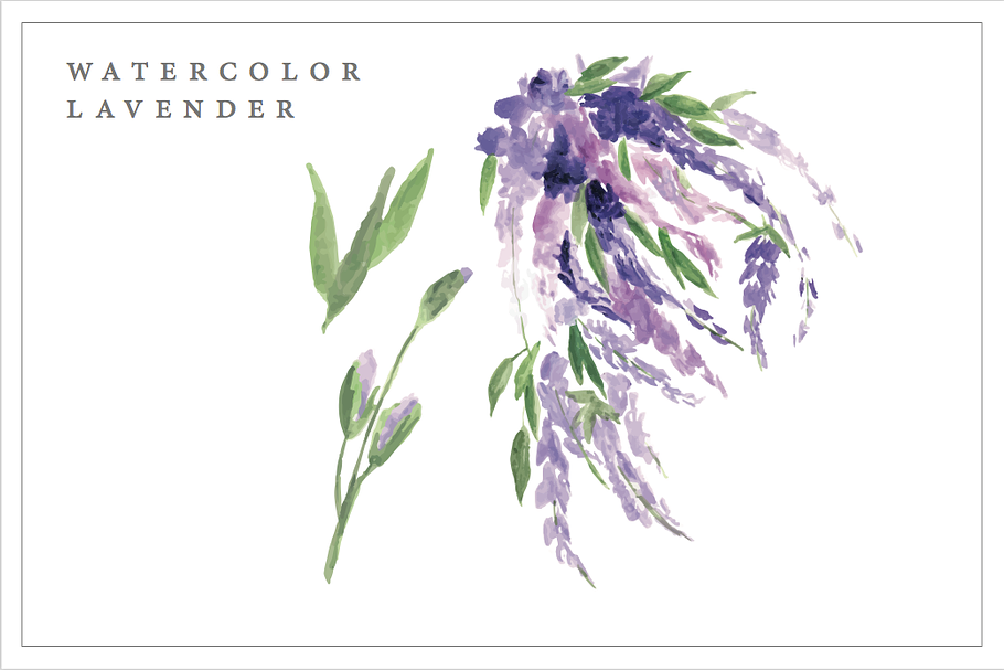 Watercolor Lavender