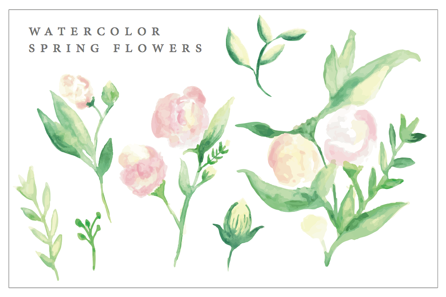 Watercolor Spring Blush Flowers in Illustrations - product preview 8