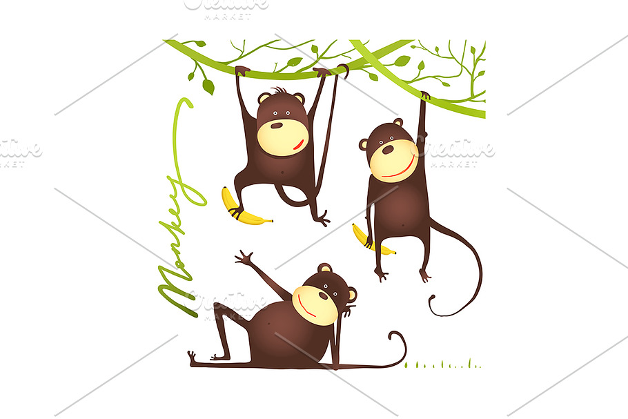 Monkey Fun Cartoon Hanging on Vine in Illustrations - product preview 8