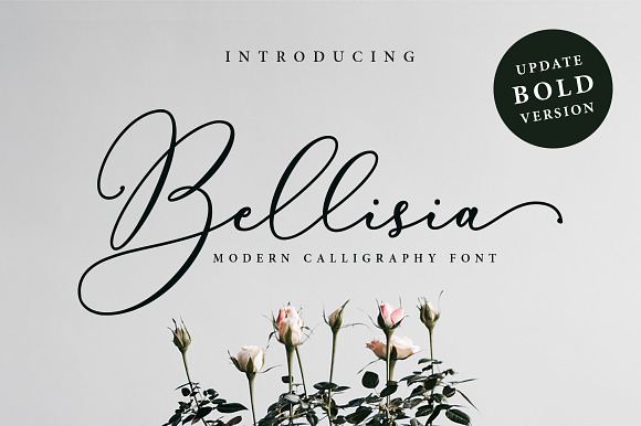 Bellisia Script + Bold Version in Bold Fonts - product preview 6